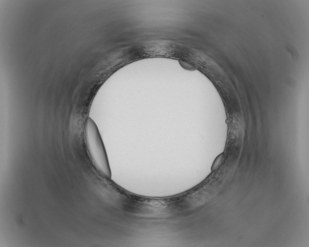 X0000111950409200909071324