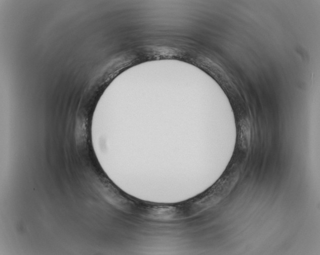 X0000111950410200909071324