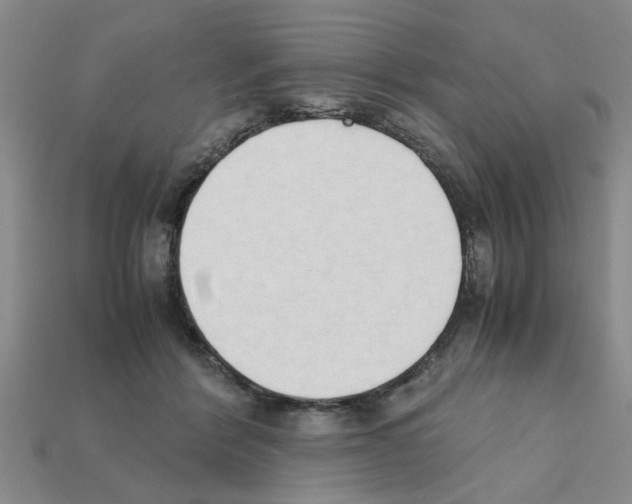 X0000111950412200909071324