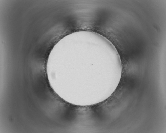 X0000111950415200909071324