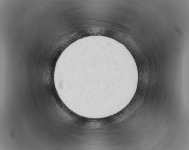 X0000111950416200909071324