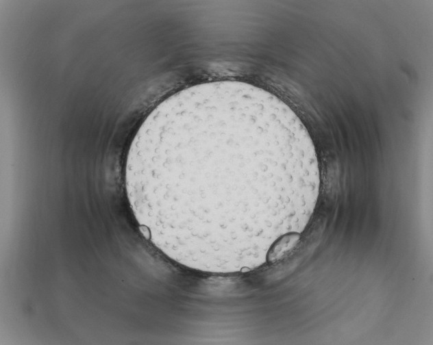 X0000111950418200909071323