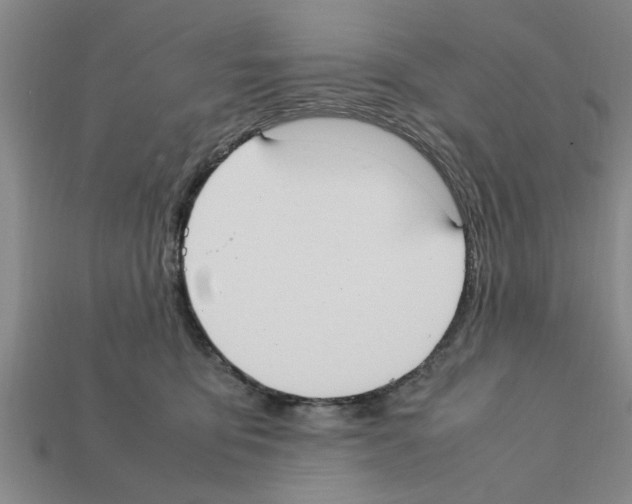 X0000111950419200909071323