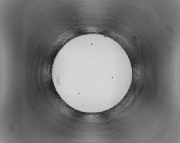 X0000111950422200909071323