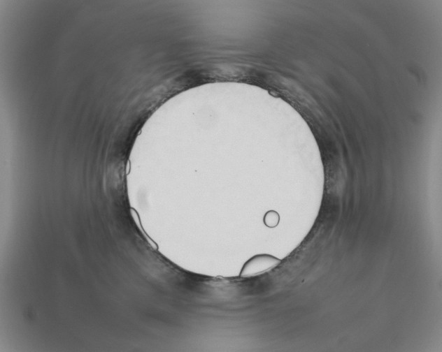 X0000111950425200909071323