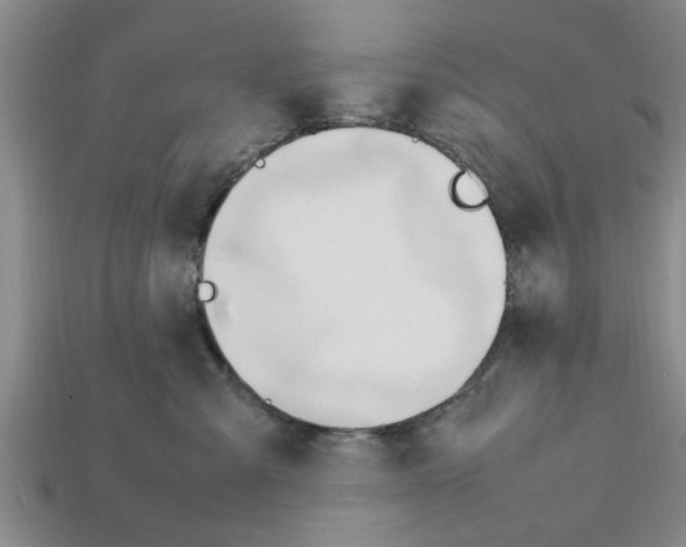 X0000111950427200909071323