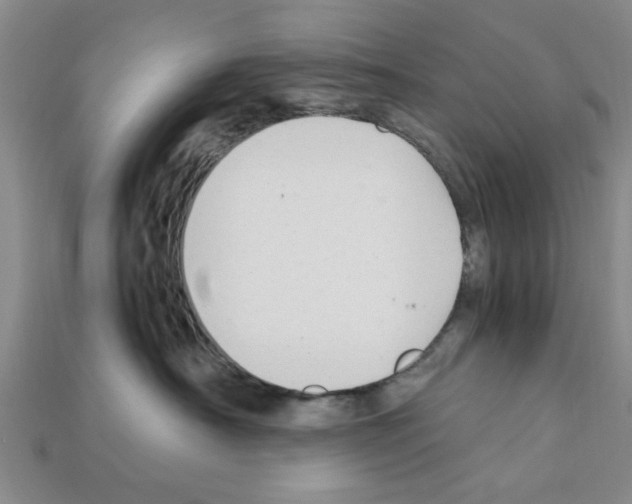 X0000111950430200909071323
