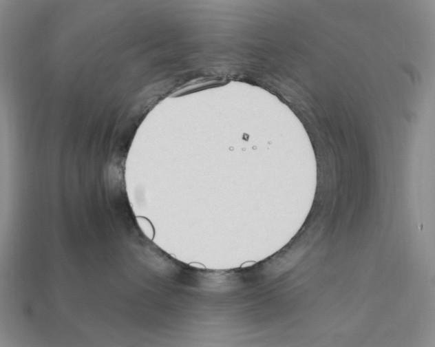 X0000111950432200909071323