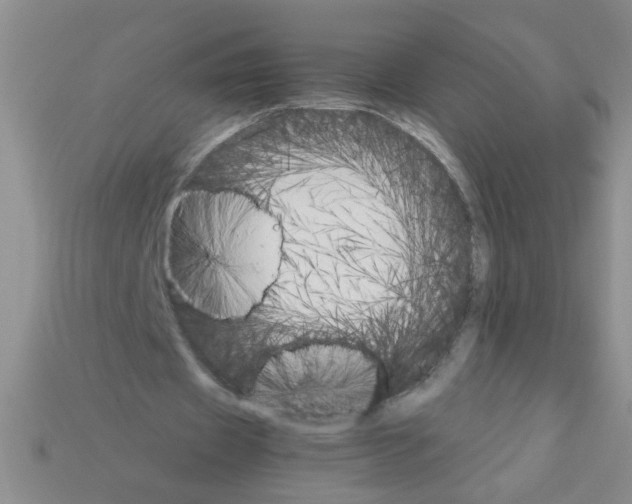 X0000111950433200909071323
