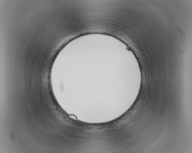 X0000111950434200909071323