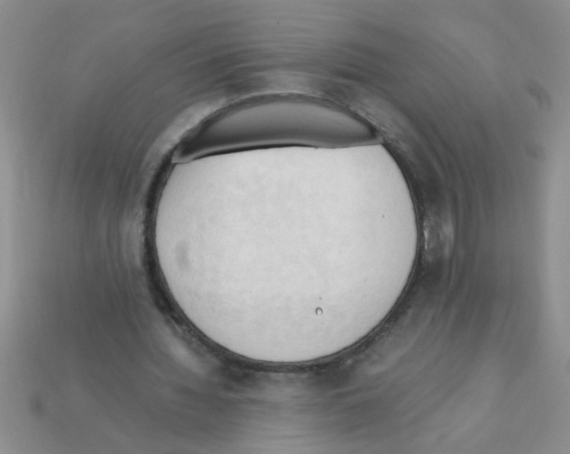 X0000111950436200909071323