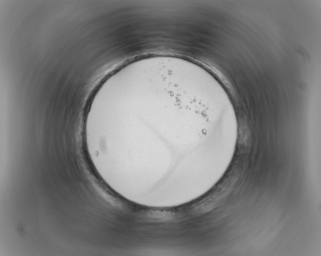 X0000111950437200909071323