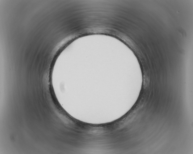 X0000111950438200909071323
