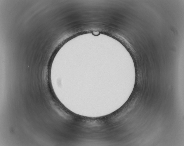 X0000111950439200909071323