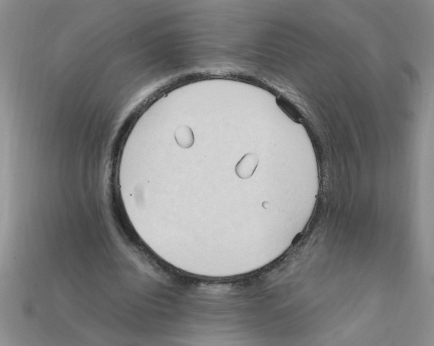 X0000111950440200909071323