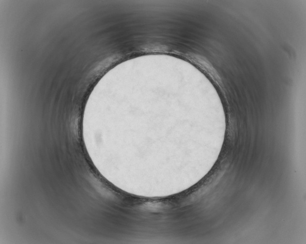 X0000111950441200909071323