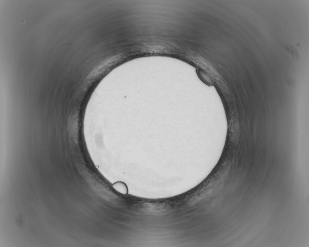 X0000111950442200909071323