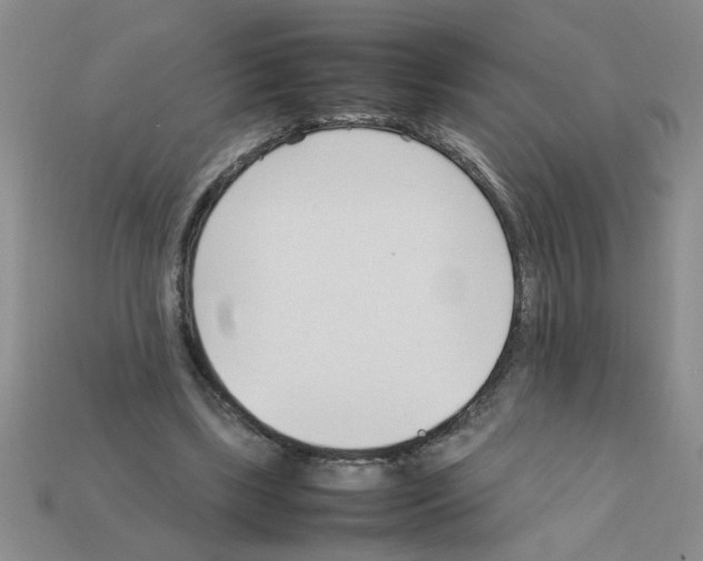 X0000111950443200909071323