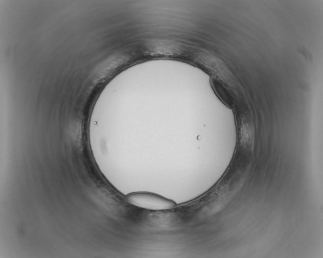 X0000111950444200909071323