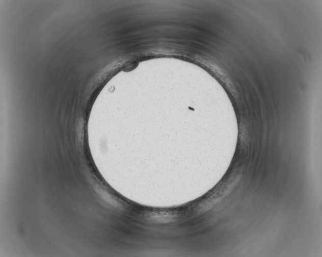X0000111950445200909071323