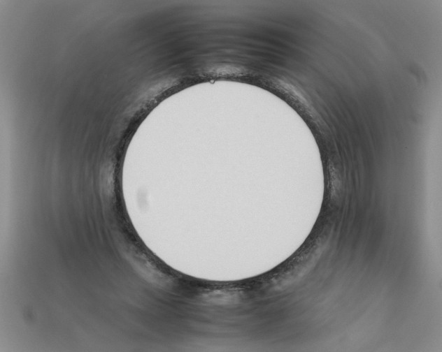 X0000111950447200909071323