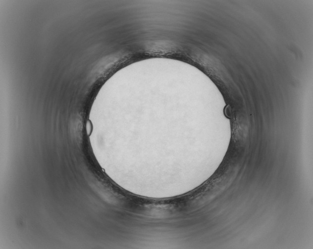 X0000111950448200909071323