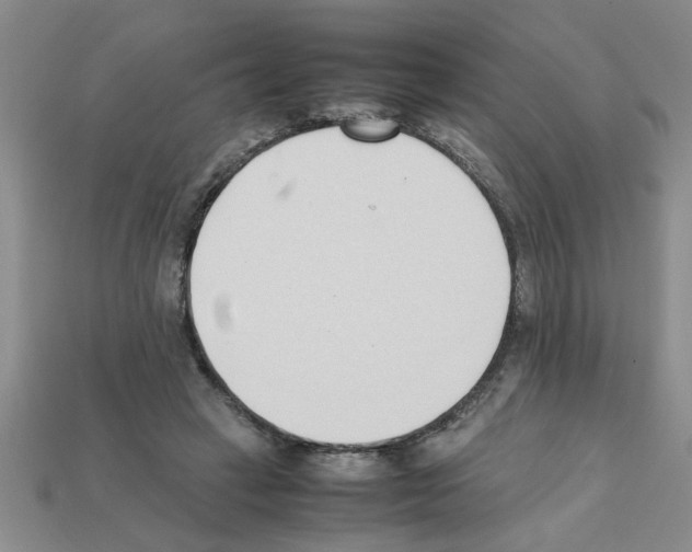 X0000111950449200909071323