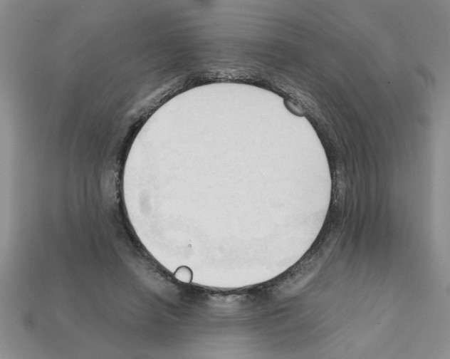 X0000111950450200909071323