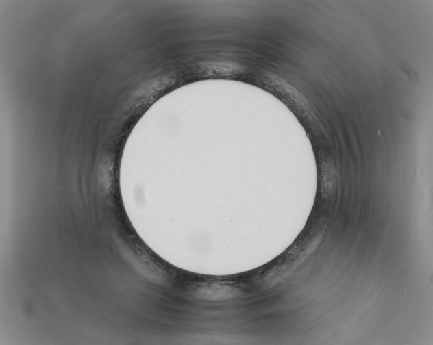 X0000111950451200909071323