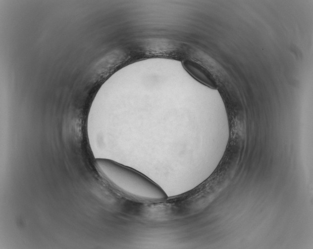 X0000111950452200909071323