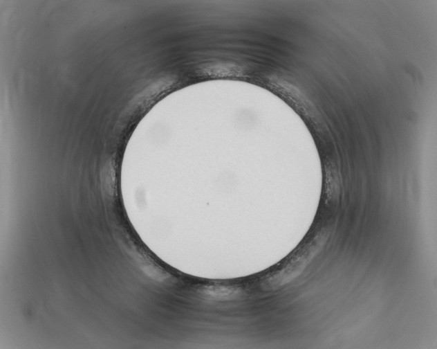 X0000111950453200909071323