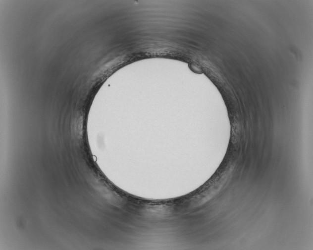 X0000111950454200909071323