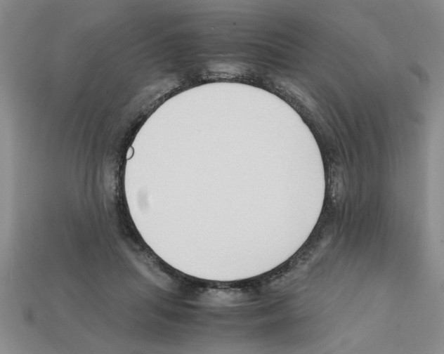X0000111950455200909071323