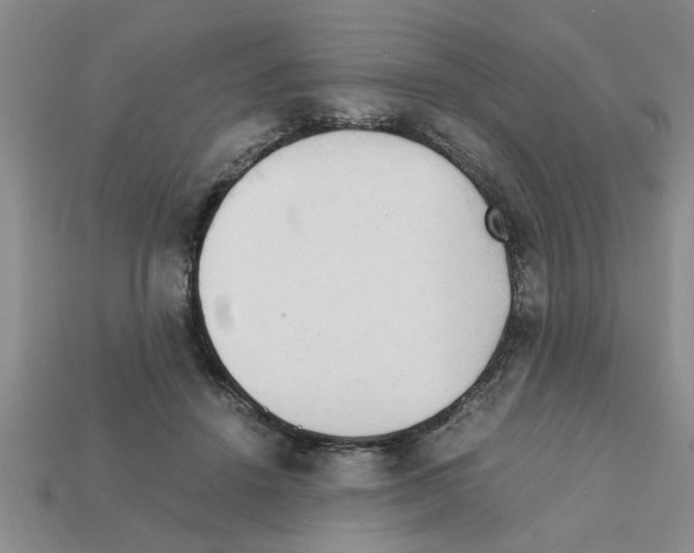 X0000111950456200909071323