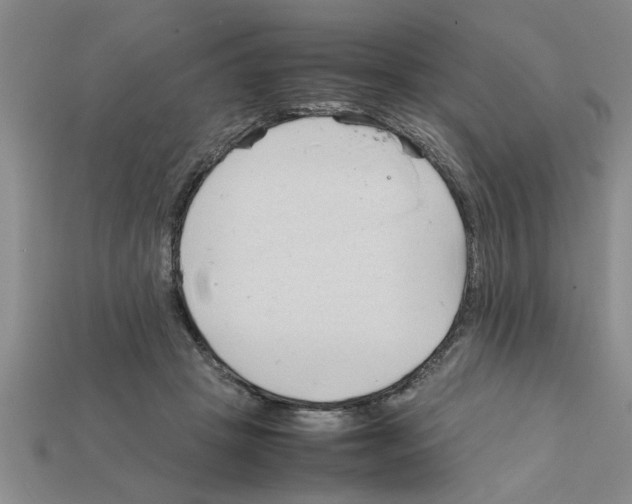 X0000111950457200909071323