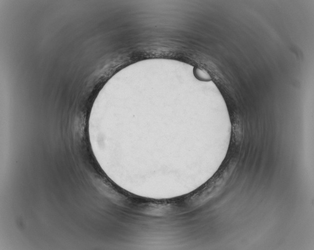 X0000111950458200909071323