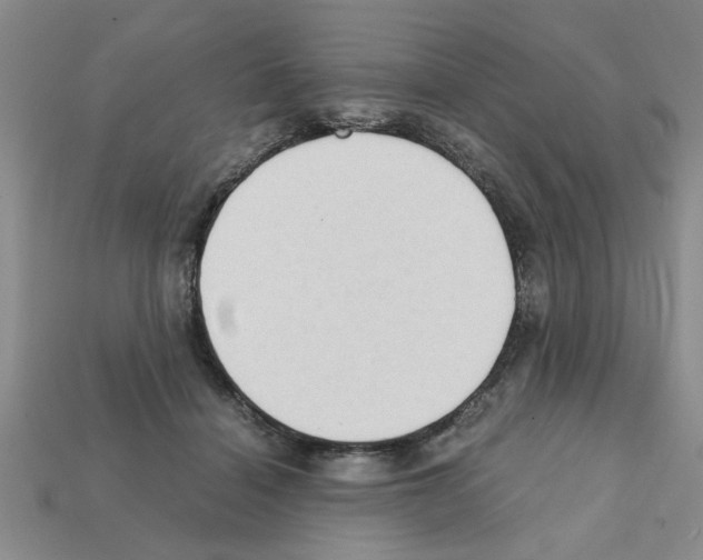 X0000111950460200909071323