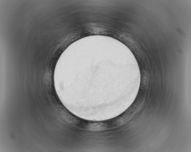 X0000111950461200909071323
