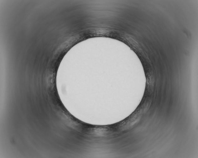 X0000111950462200909071323