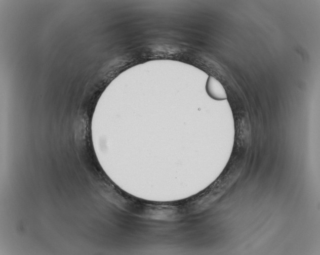 X0000111950463200909071323