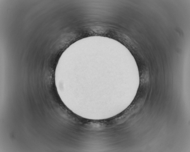 X0000111950464200909071323