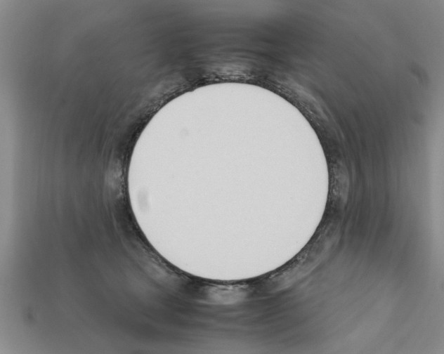 X0000111950465200909071323