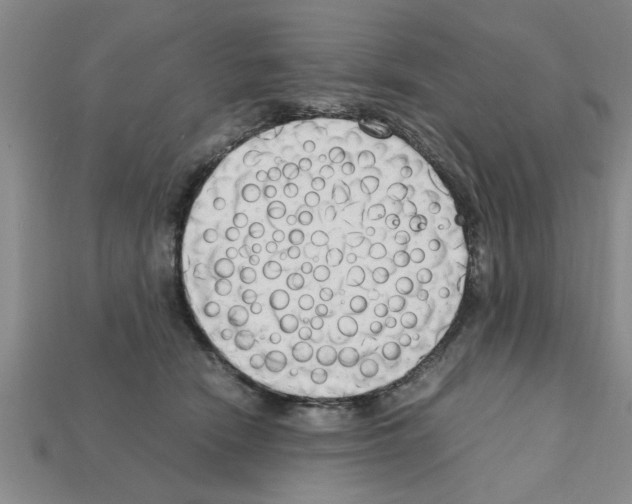 X0000111950466200909071323