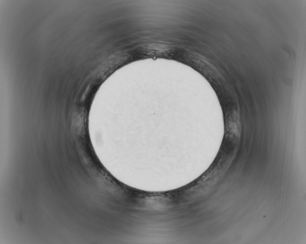 X0000111950468200909071323