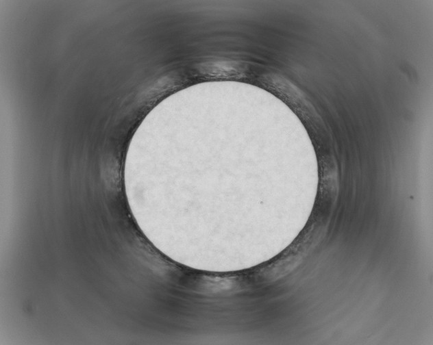 X0000111950469200909071323