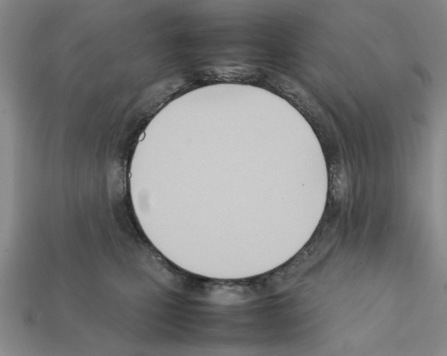 X0000111950471200909071323