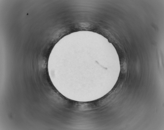 X0000111950472200909071323