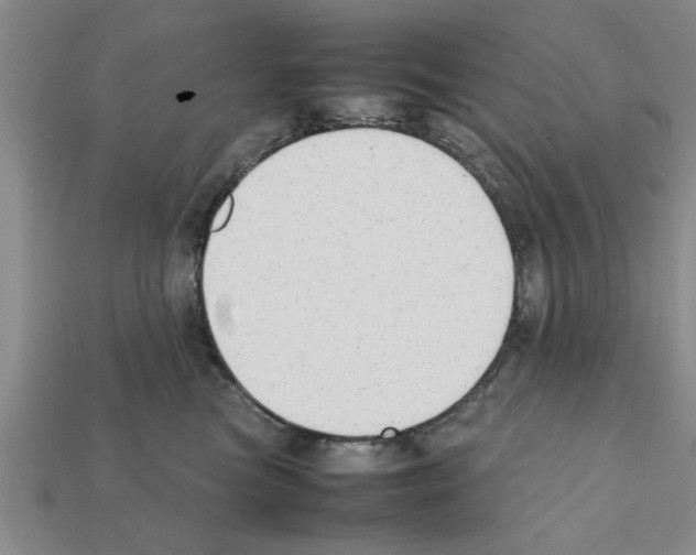 X0000111950473200909071323