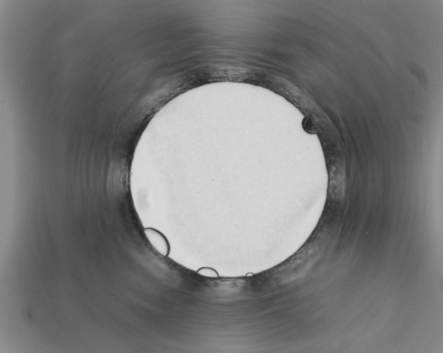 X0000111950474200909071323