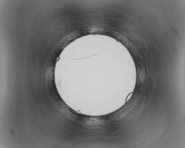 X0000111950475200909071323